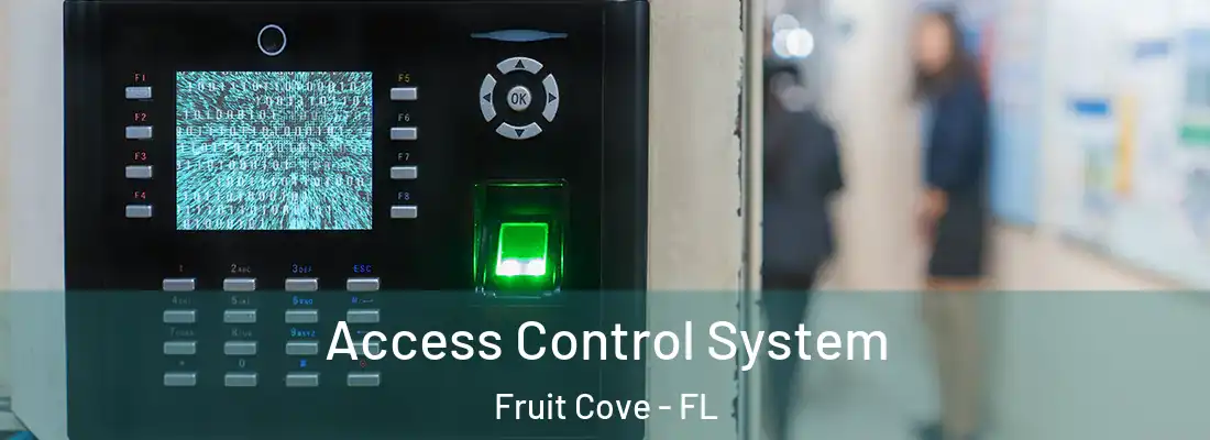 Access Control System Fruit Cove - FL