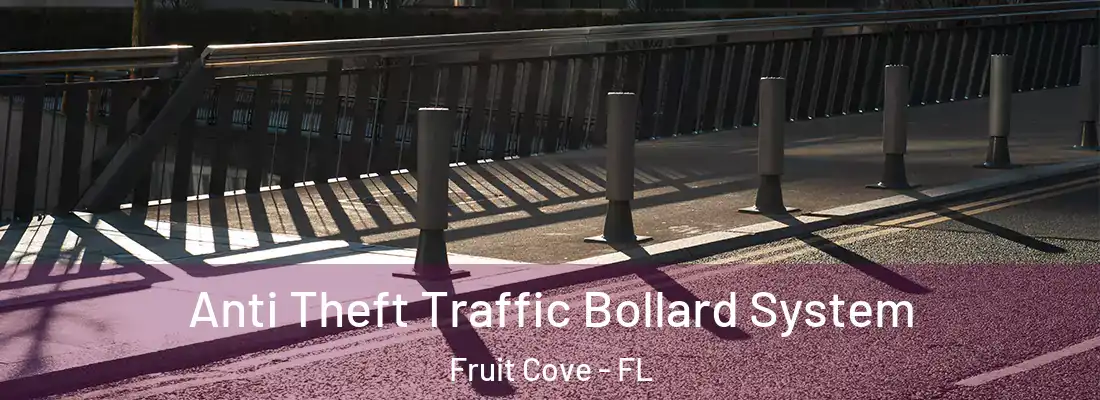 Anti Theft Traffic Bollard System Fruit Cove - FL