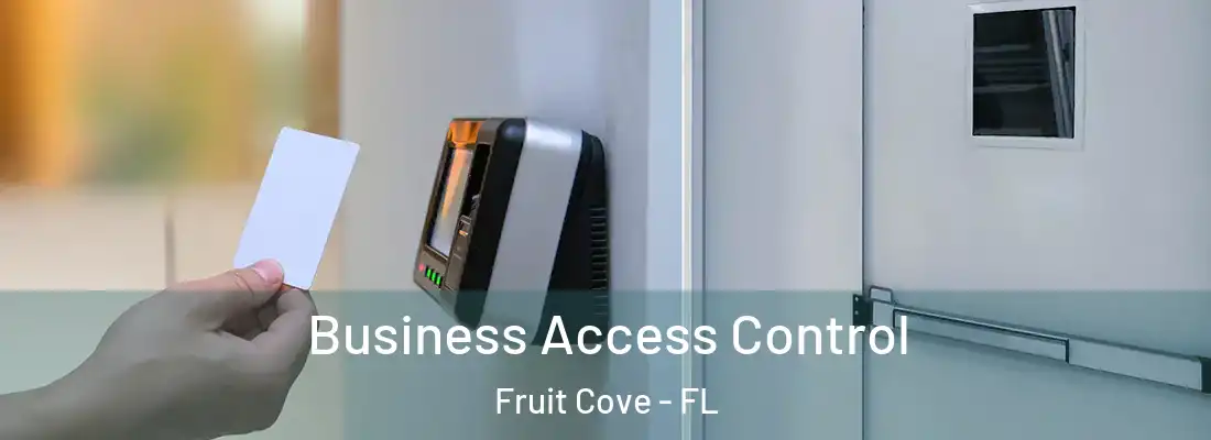 Business Access Control Fruit Cove - FL