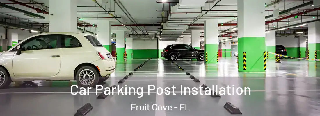 Car Parking Post Installation Fruit Cove - FL