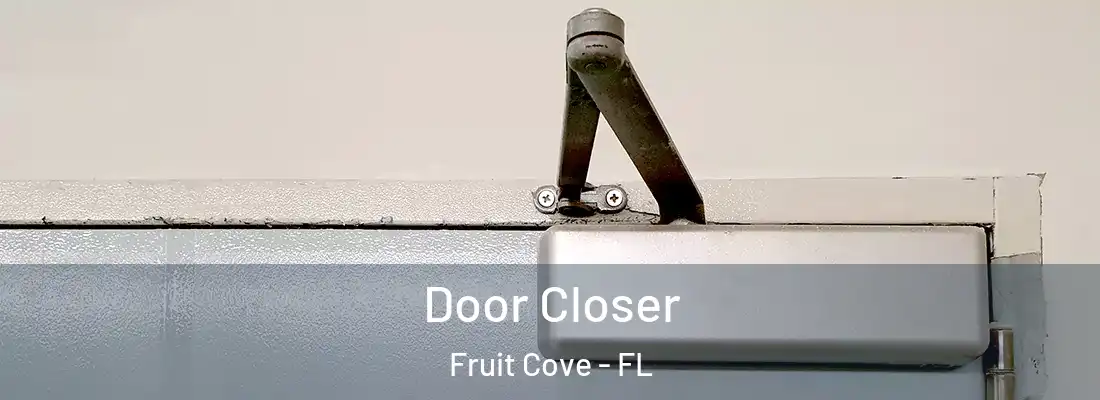 Door Closer Fruit Cove - FL