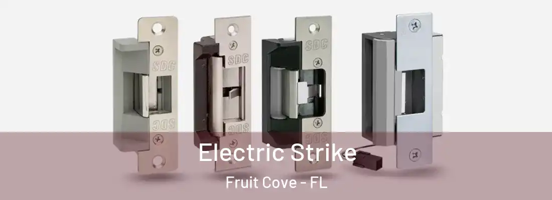 Electric Strike Fruit Cove - FL