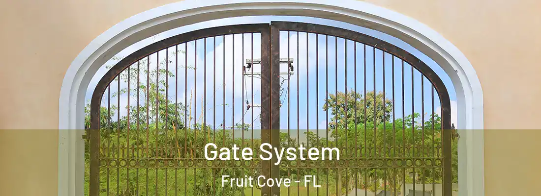 Gate System Fruit Cove - FL