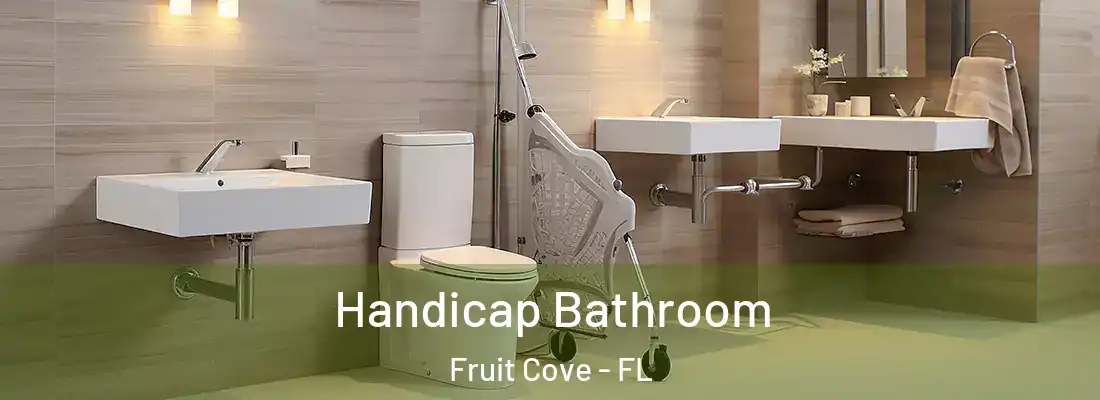 Handicap Bathroom Fruit Cove - FL