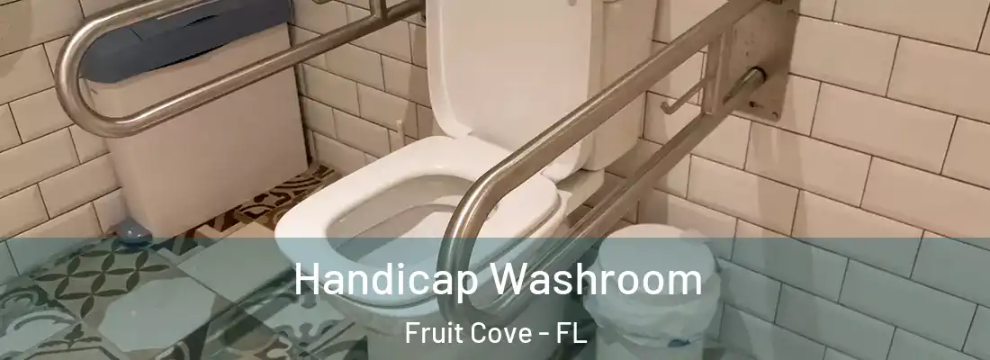 Handicap Washroom Fruit Cove - FL
