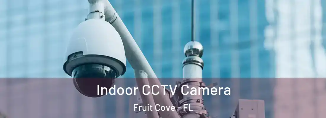 Indoor CCTV Camera Fruit Cove - FL