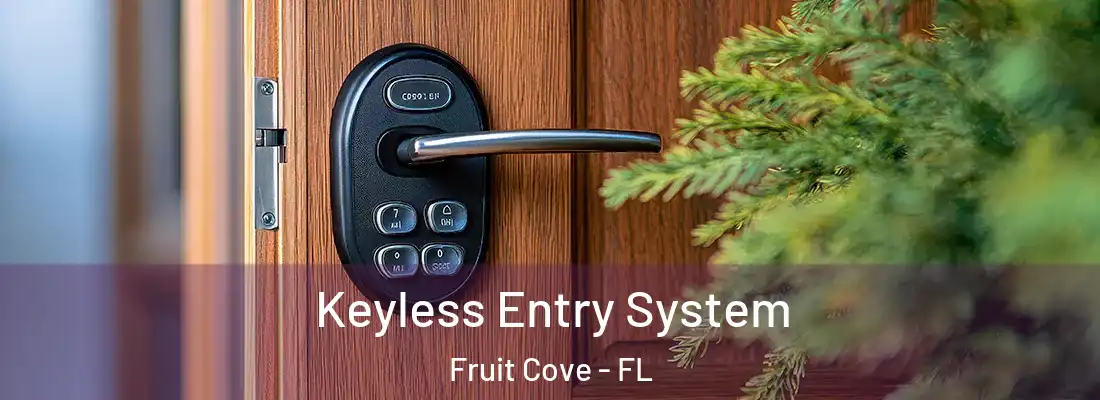 Keyless Entry System Fruit Cove - FL
