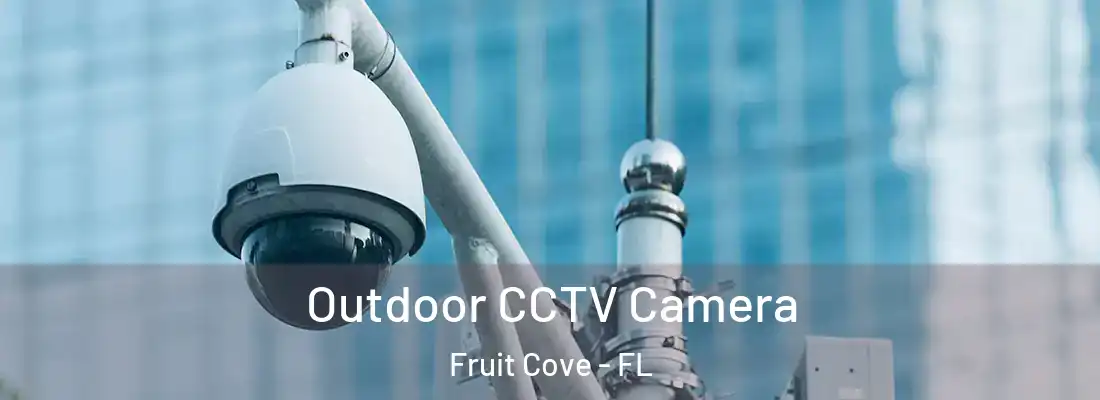 Outdoor CCTV Camera Fruit Cove - FL