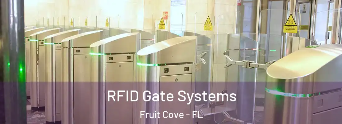 RFID Gate Systems Fruit Cove - FL