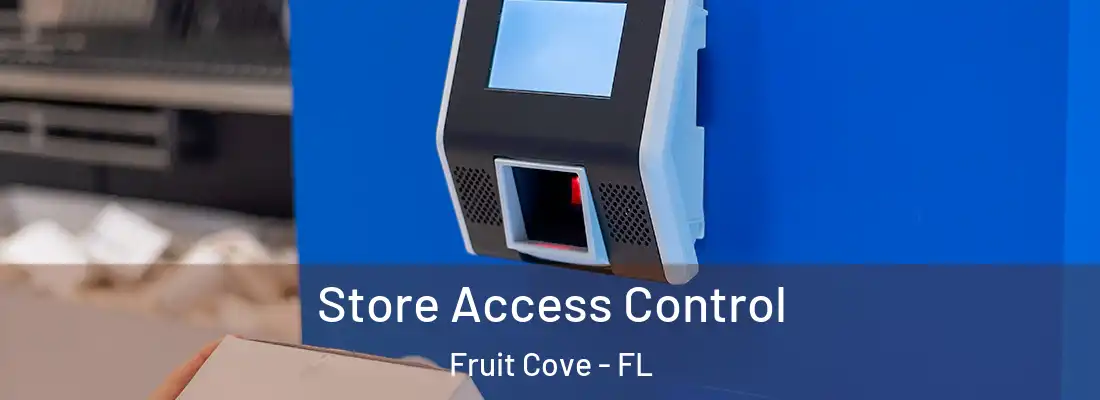 Store Access Control Fruit Cove - FL