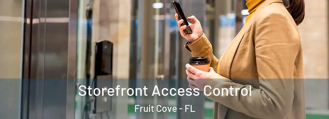 Storefront Access Control Fruit Cove - FL