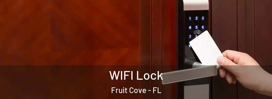 WIFI Lock Fruit Cove - FL