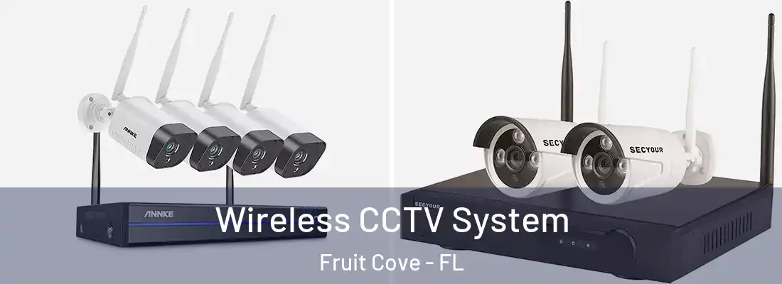 Wireless CCTV System Fruit Cove - FL